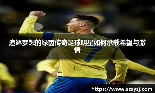 追逐梦想的绿茵传奇足球明星如何承载希望与激情